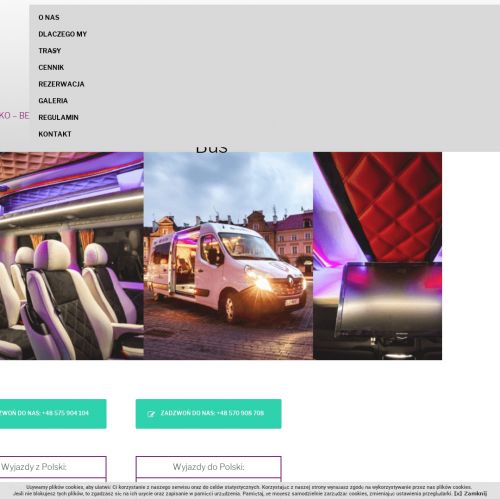 Krajowy przewóz osób cennik