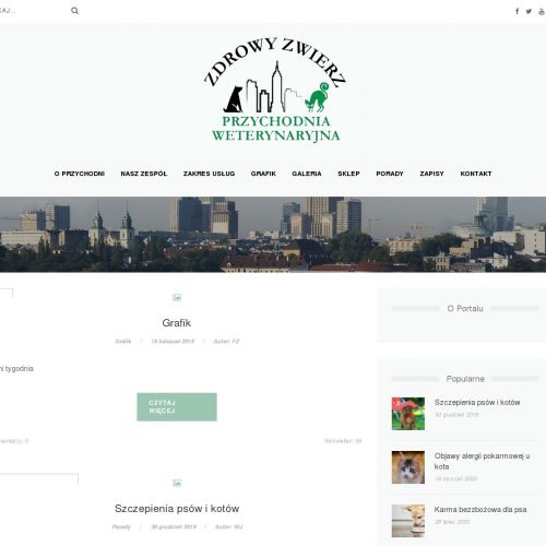 Karmy dla kota z dużą zawartością mięsa