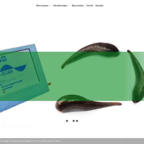 Siedlce - hirudoterapia