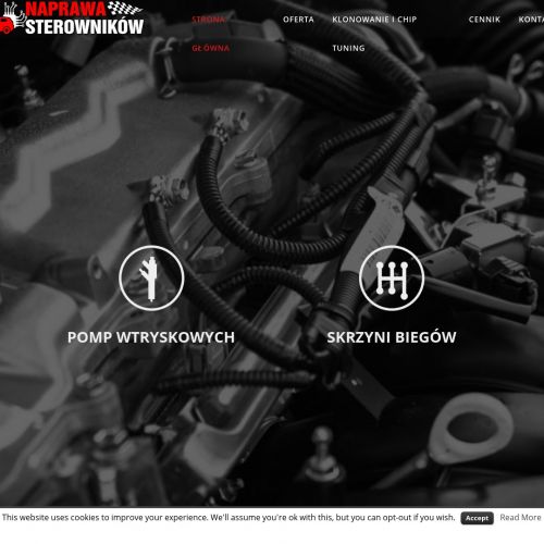 Sterownik pompy wtryskowej opel - Kraków