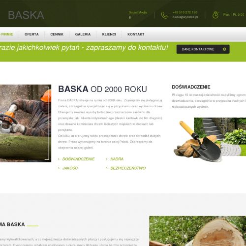 Katowice - przycinanie drzew śląsk