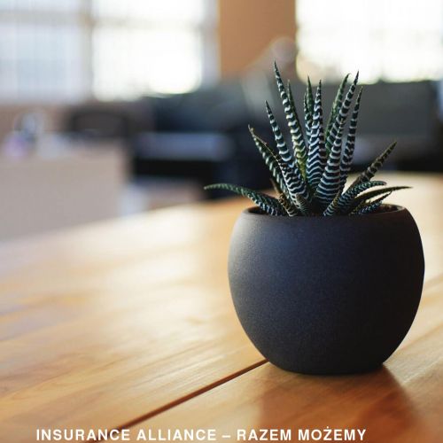 Licencja agenta ubezpieczeniowego w Gdańsku