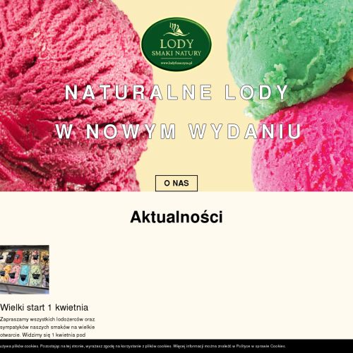 Franczyza budki z lodami