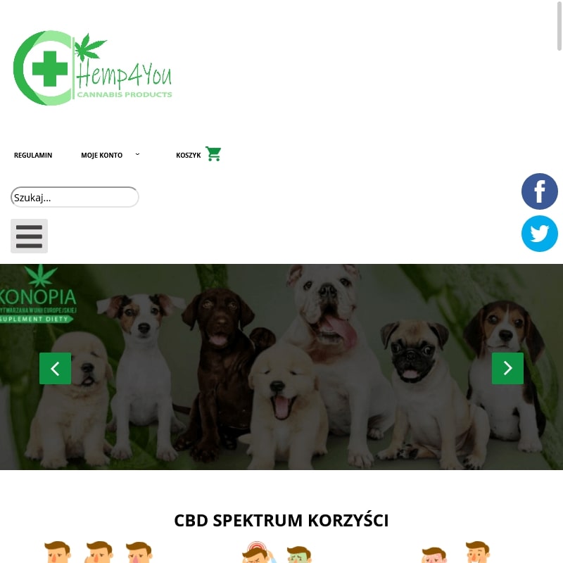 Susz z kwiatów konopi